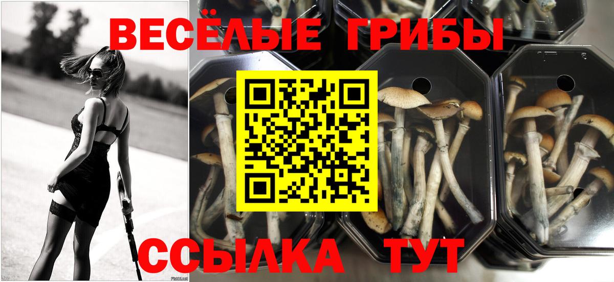 Псилоцибиновые грибы мухоморы  Вход с VPN  Черемхово 
