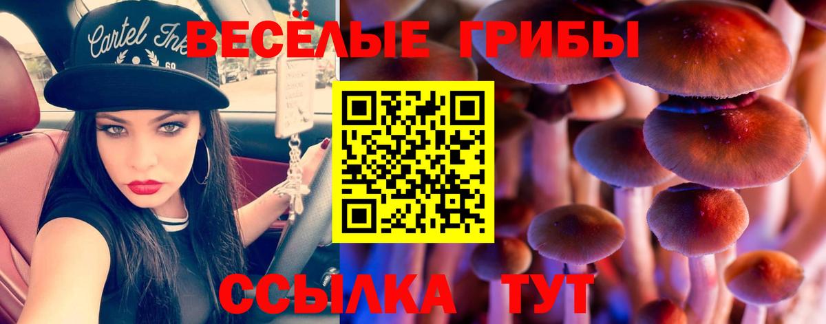Псилоцибиновые грибы Cubensis Черемхово
